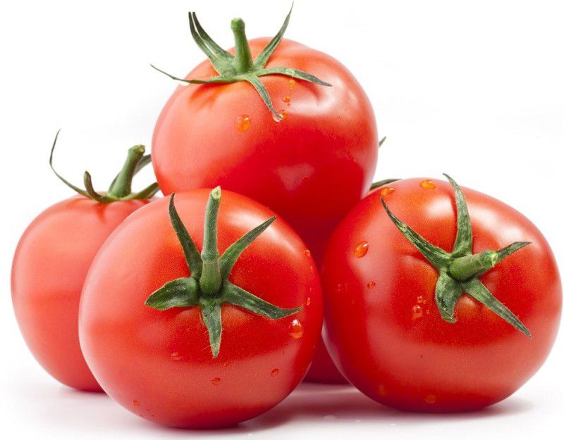 Paudha Tomato Seed  (150 per packet)