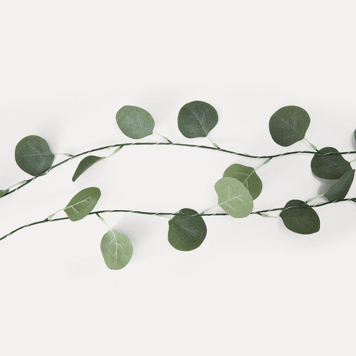 Eucalyptus String Light