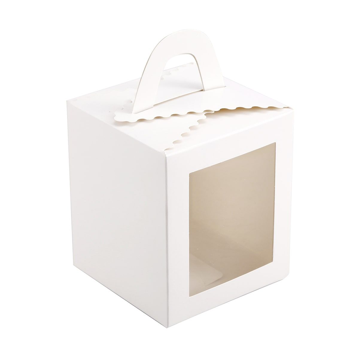 6 Pack Cupcake Boxes