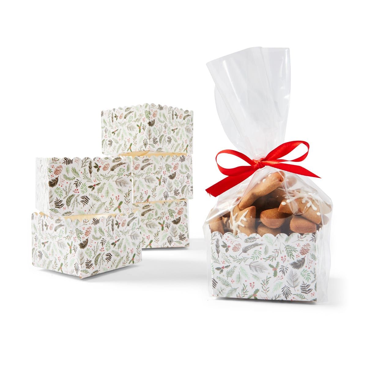 6 Piece Treat Box with Cello Bag