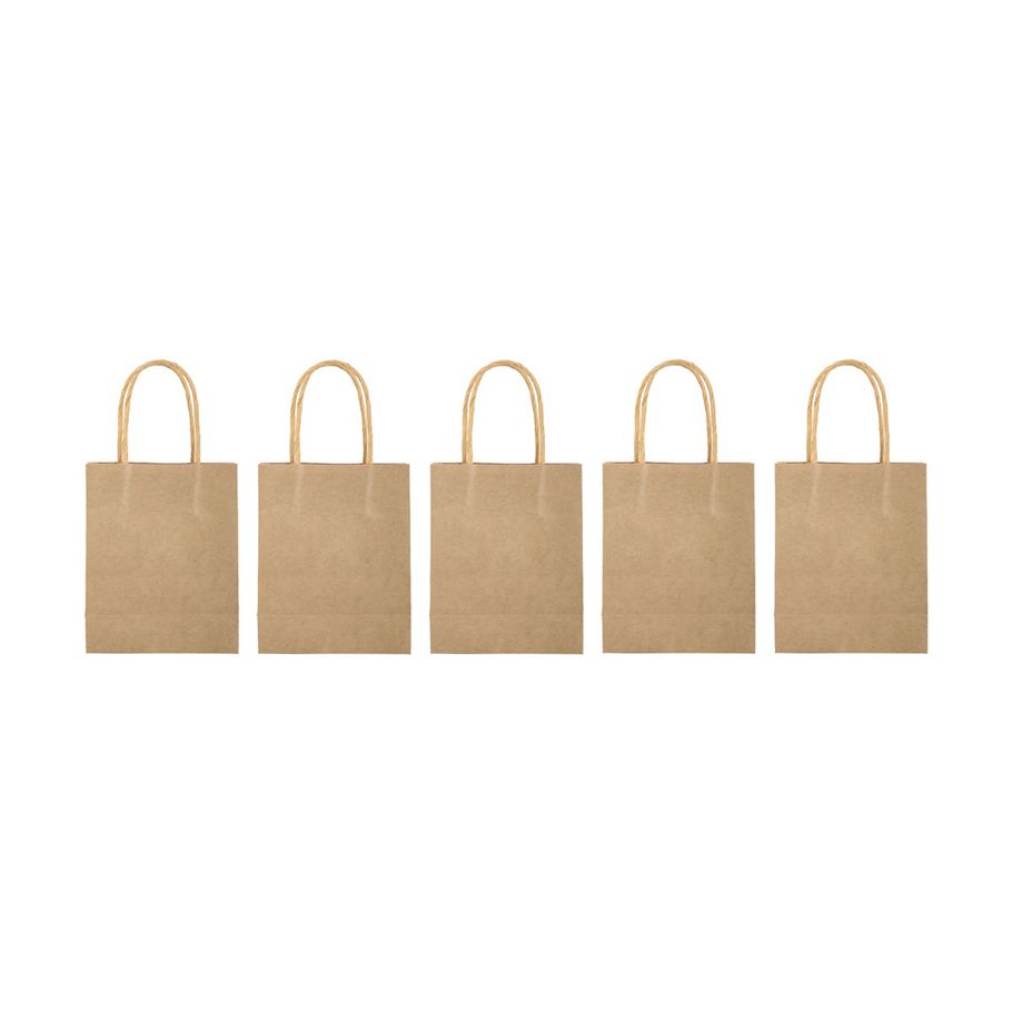 5 Pack Kraft Loot Bags