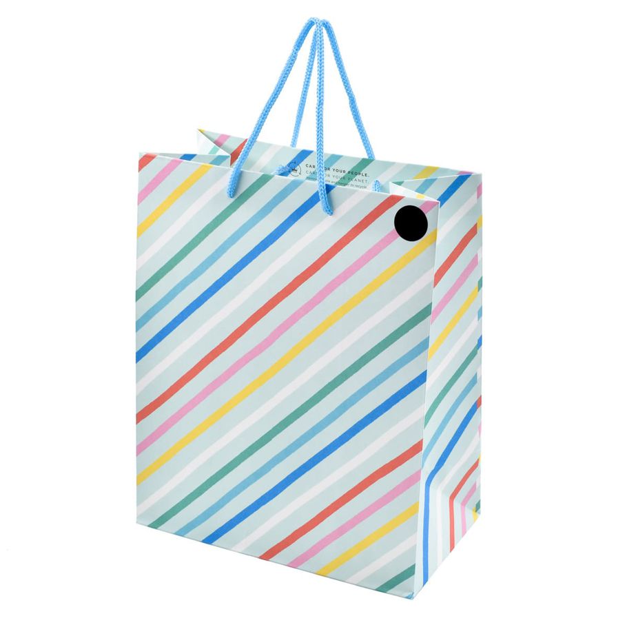 Hallmark Medium Colourful Diagonal Stripe Gift Bag