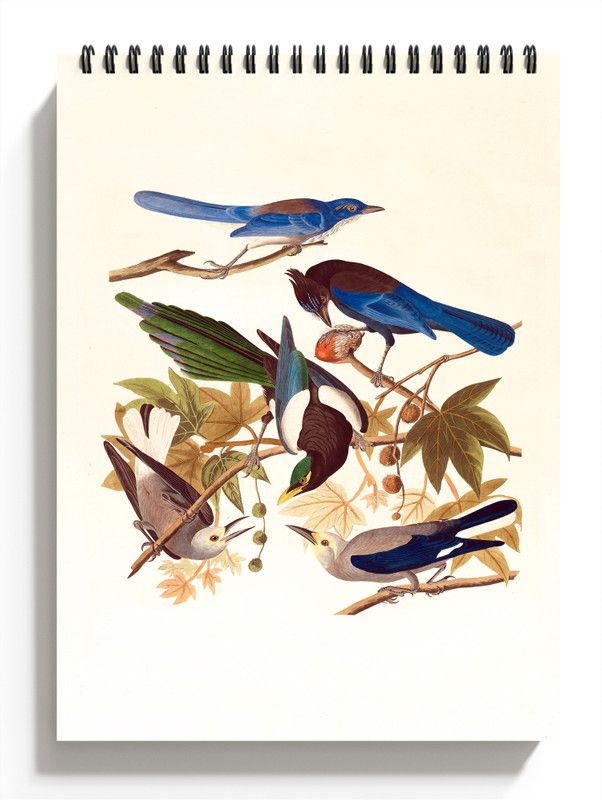PRINTHUBS A4 Birds Sketchbook for Artists, Students & Kids Drawing Copy,100 Pages S1 Sketch Pad  (50 Sheets)
