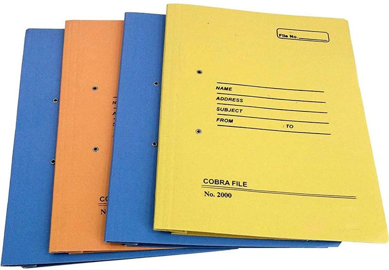 Nidhi Cardboard Cobra File  (Set Of 4, Multicolor)