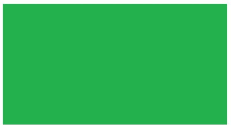 SHARMA BUSINESS COLOR PAPER UNRULED A3 120 gsm, 220 gsm Drawing Paper  (Set of 20, Green)