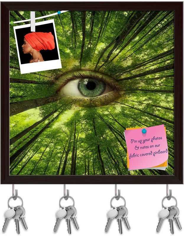Artzfolio Ecology Concept Pinboard with Key Holder Hooks Dark Brown Frame 16x16inch Cork Bulletin Board  (Multicolor 16 x 16 inch (41 x 41 cms))