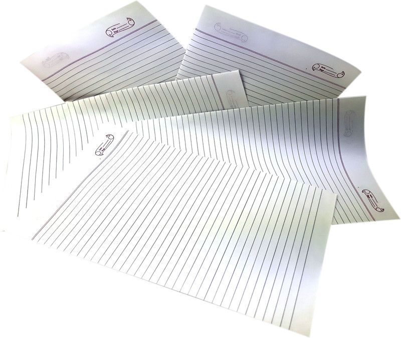 MAJESTIC BASKET White Premium Quality Accounts/ Ledger /Excel /Project /Assignment /Answer Sheets/ [Both Side Ruled 100 Sheets - Pack of 1] Both Side Ruled Lines 8X13 80 gsm Multipurpose Paper  (Set of 1, White)