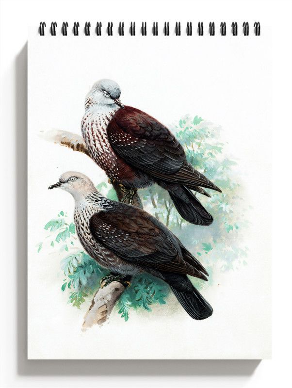 PRINTHUBS A5 Birds Sketchbook for Artists, Students & Kids Drawing Copy,100 Pages S11 Sketch Pad  (50 Sheets)