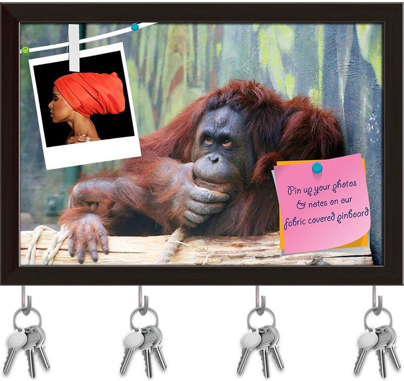 Artzfolio Orangutan In Thinking Position Pinboard & Key Holders Dark Brown Frame14.5x10in Cork Bulletin Board  (Multicolor 14.5 x 10 inch (37 x 25 cms))
