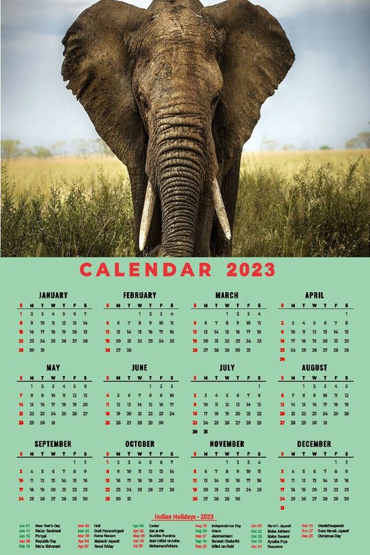 infinity interiors beautiful picture, Wall Calendar, (24 x 36 inch)for office, home_045 2023 Wall Calendar  (Multicolor, picture)