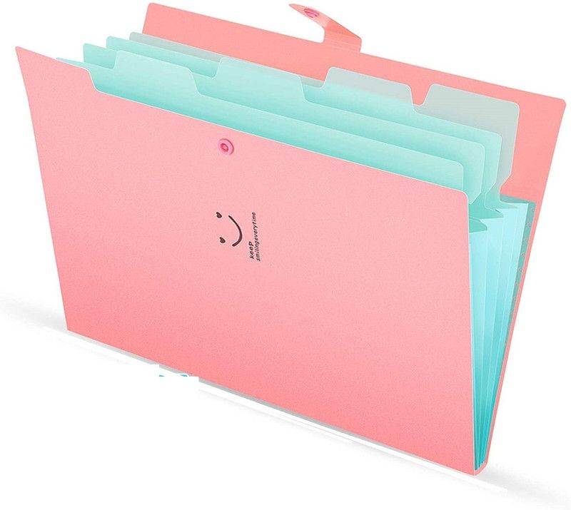 IORAA 5 Pockets Documents File Folder for Certificates File Folder for Girls and Boys File Folder  (Set Of 1, Pink)