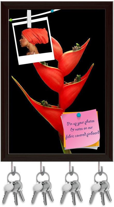 Artzfolio Red Bird Of Paradise Flower Pinboard & Key Holders Dark Brown Frame12x17.5inch Cork Bulletin Board  (Multicolor 12 x 17.5 inch (30 x 44 cms))
