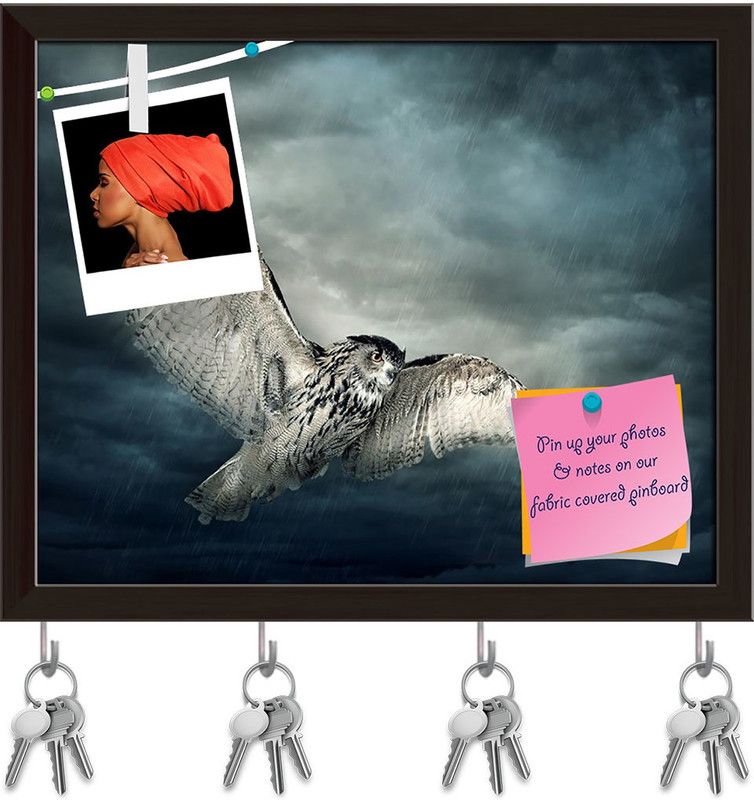 Artzfolio Owl Bird Pinboard with Key Holder Hooks Dark Brown Frame 9.8x8inch (25x20cms) Cork Bulletin Board  (Multicolor 9.8 x 8 inch (25 x 20 cms))