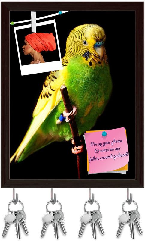 Artzfolio Female Green Budgie Bird Pinboard with Key Holders Dark Brown Frame6x7.7inch Cork Bulletin Board  (Multicolor 6 x 7.7 inch (15 x 20 cms))