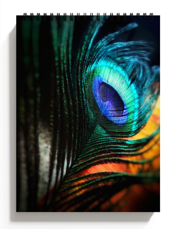 PRINTHUBS A4 Birds Sketchbook for Artists, Students & Kids Drawing Copy,100 Pages S23 Sketch Pad  (50 Sheets)