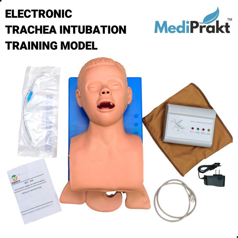 MediPrakt | ELECTRONIC TRACHEA INTUBATION MODEL | AIRWAY INTUBATION TRAINING SIMULATOR | Anatomical Body Model  (ELECTRONIC TRACHEA INTUBATION MODEL)