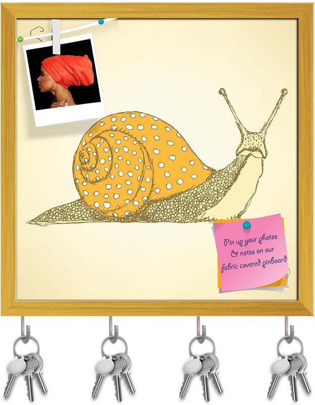 Artzfolio Fancy Snaill Pinboard with Key Holder Hooks Golden Frame 20x20inch (51x51cms) Cork Bulletin Board  (Multicolor 20 x 20 inch (51 x 51 cms))