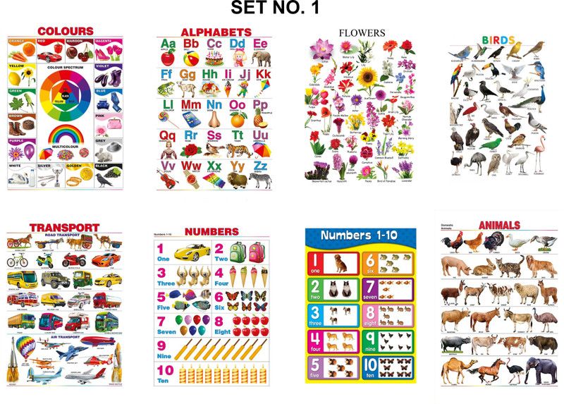anshul internet point SET NO. 1 13*19 INCH Pocket Chart  (Mullti Color)