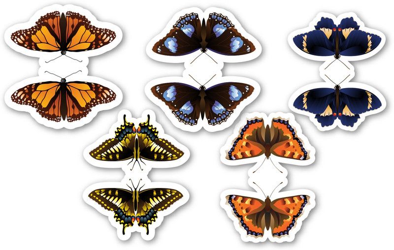 woopme Butterfly Design BM-154 Magentic Bookmark  (Bookmarks, Multicolur)