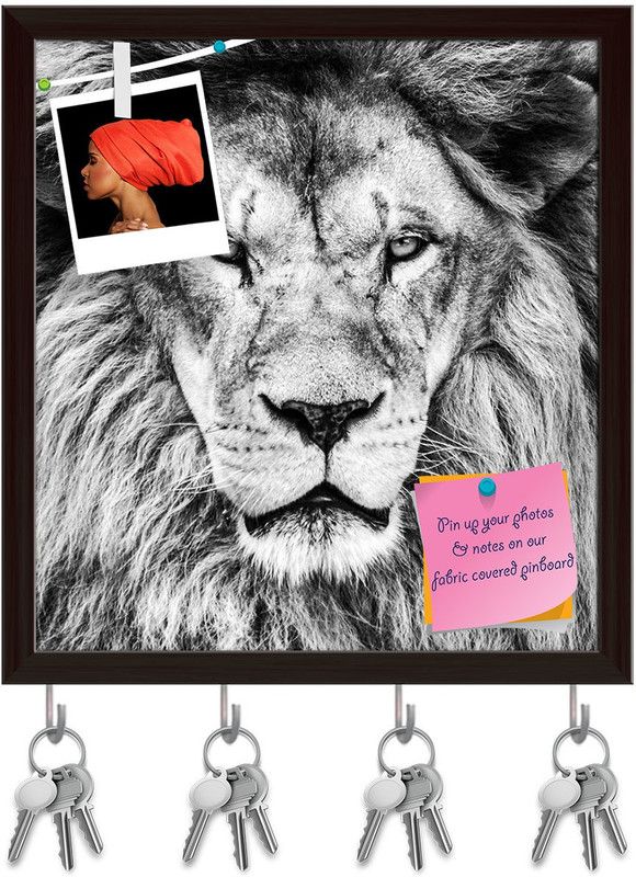 Artzfolio African Lion Pinboard with Key Holder Hooks Dark Brown Frame 16x17.3inch Cork Bulletin Board  (Multicolor 16 x 17.3 inch (41 x 44 cms))