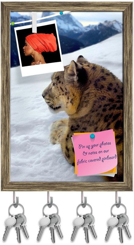 Artzfolio Snow Leopard Pin Board with Key Holders Antique Golden Frame 12x17.5inch Cork Bulletin Board  (Multicolor 12 x 17.5 inch (30 x 44 cms))