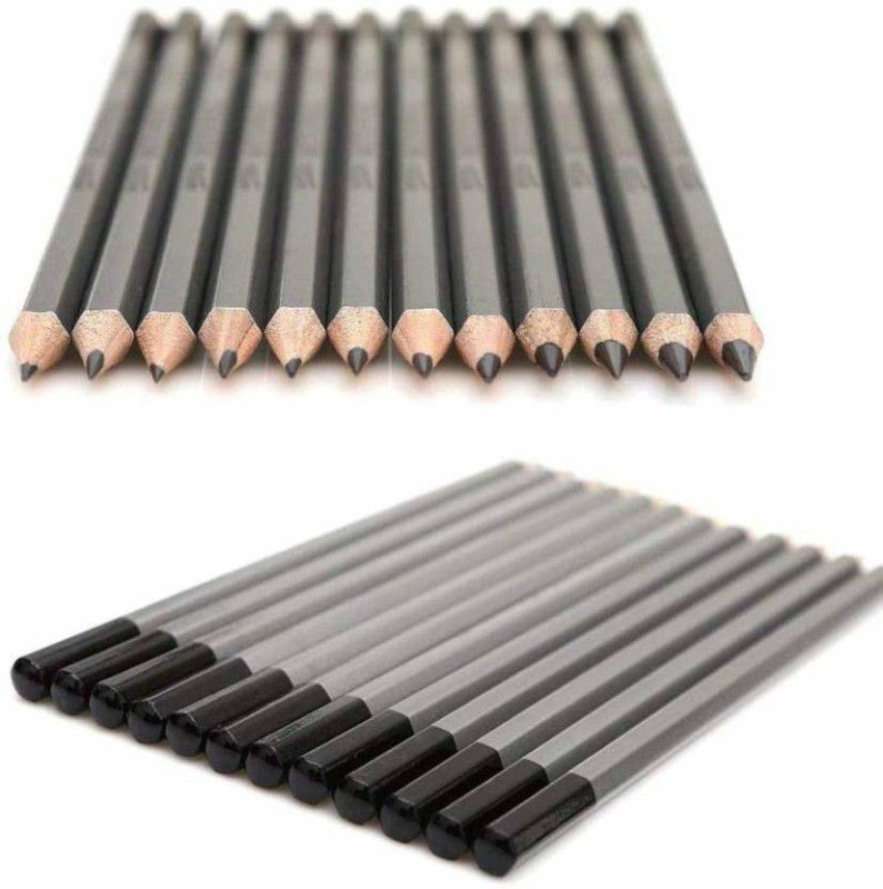 ESAANVIKA Drawing Pencils 10B, 8B, 6B, 5B, 4B, 3B, 2B, B, HB, 2H, 4H, 6H Graphite Pencils for Beginners & Pro Artist Pencil  (Pack of 12)