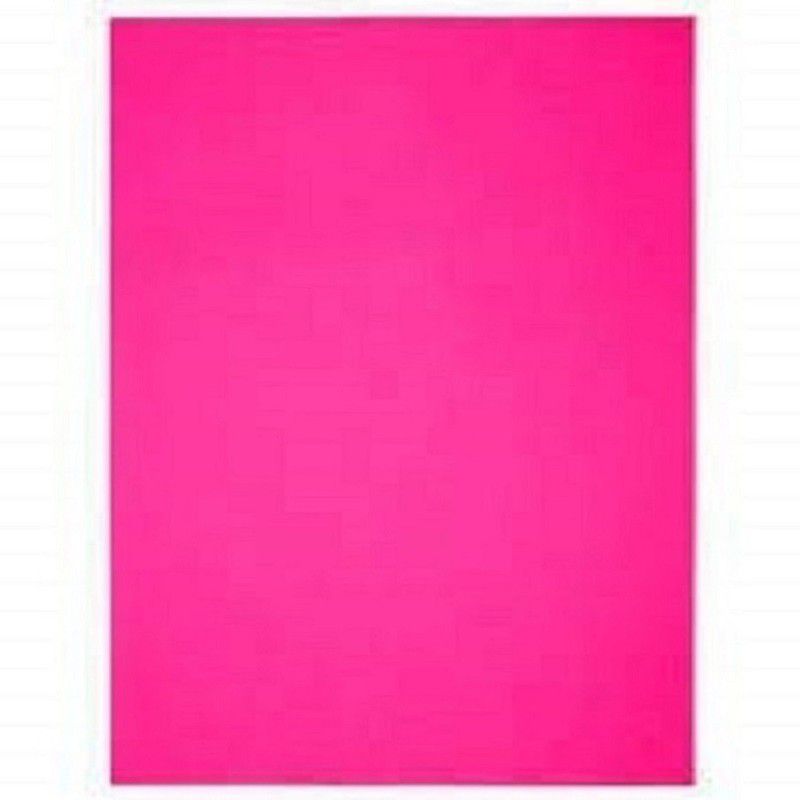 Eclet A4 Color Paper (180-240 GSM) Paper A4 110 gsm Drawing Paper  (Set of 1, Pink)
