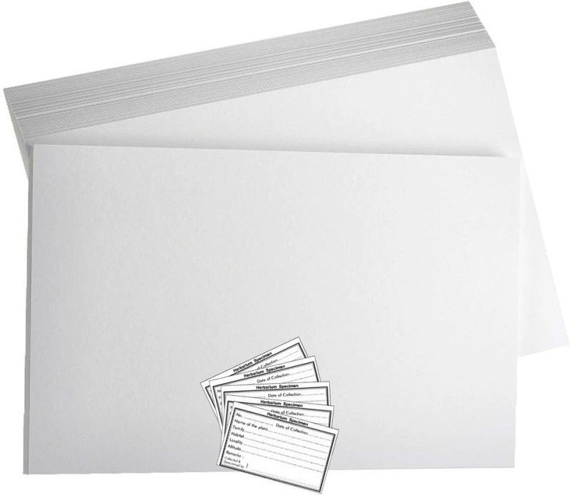 CRAFTWAFT HERBARIUM SHEET WITH LABEL PACK OF 200 WHITE 28X35 120 gsm Project Paper  (Set of 200, White)