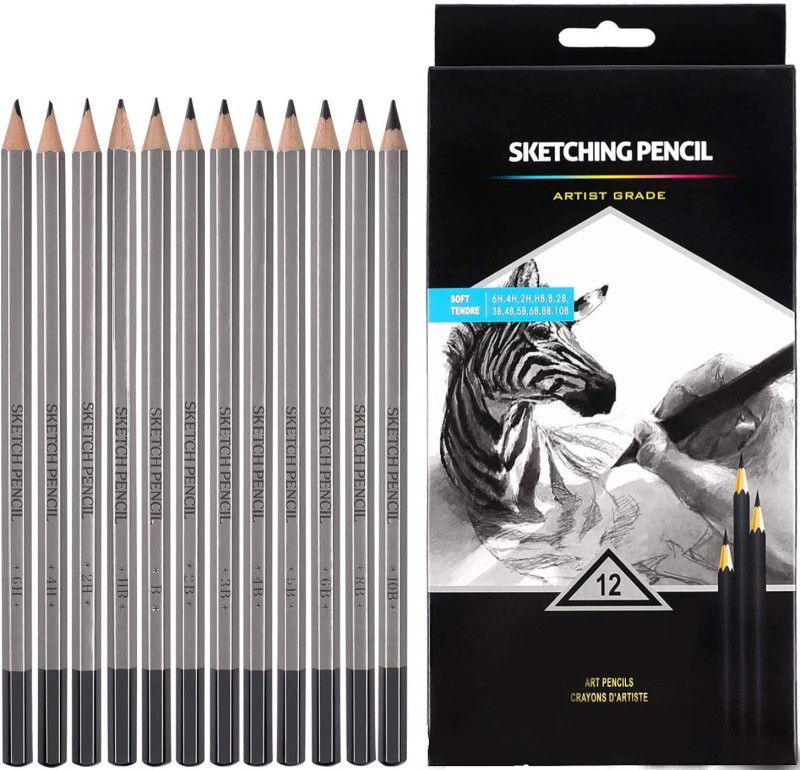 THR3E STROKES ARTIST QUALITY FINE ART DRAWING & SKETCHING PENCIL 12PCS SET 10B, 8B, 6B, 5B, 4B, 3B, 2B, B, HB, 2H, 4H, 6H Pencil  (Pack of 12)