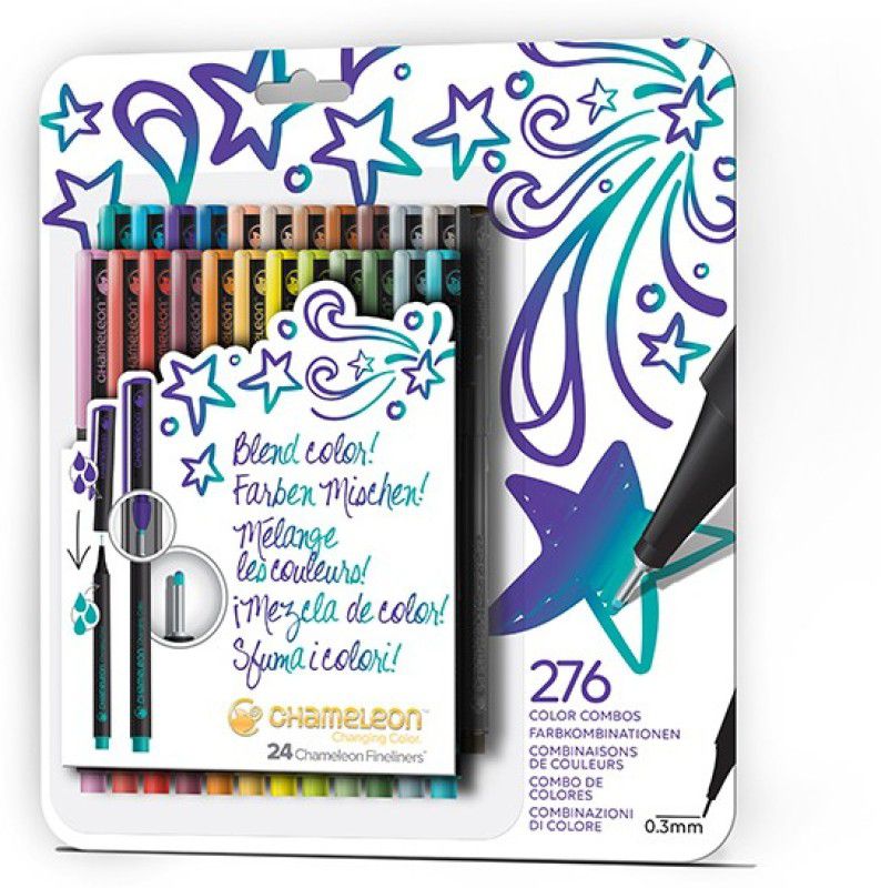 Chameleon Bold Calligraphy  (Pack of 24, Multicolors)