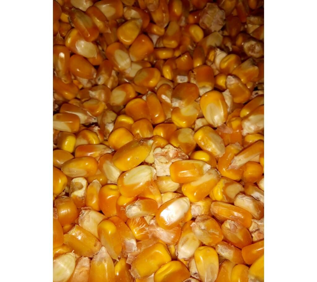 corn