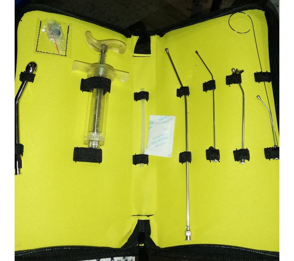 Hand feeding kit for bird