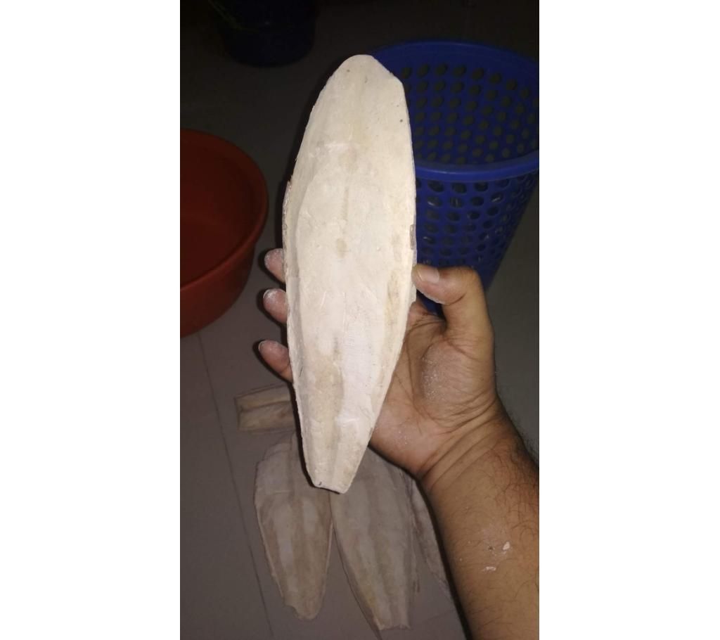 cattle fishbon