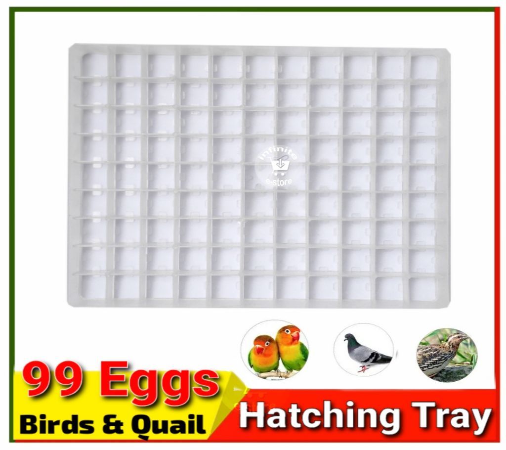 Egg Setting Tray 99 Eggd for Quail and Birds