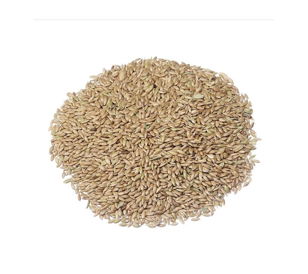 canary seed