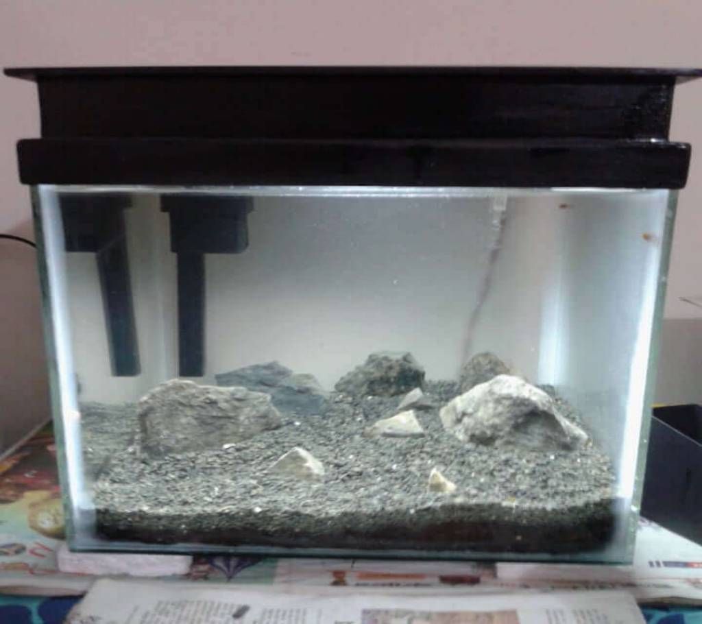 Fish Aquarium