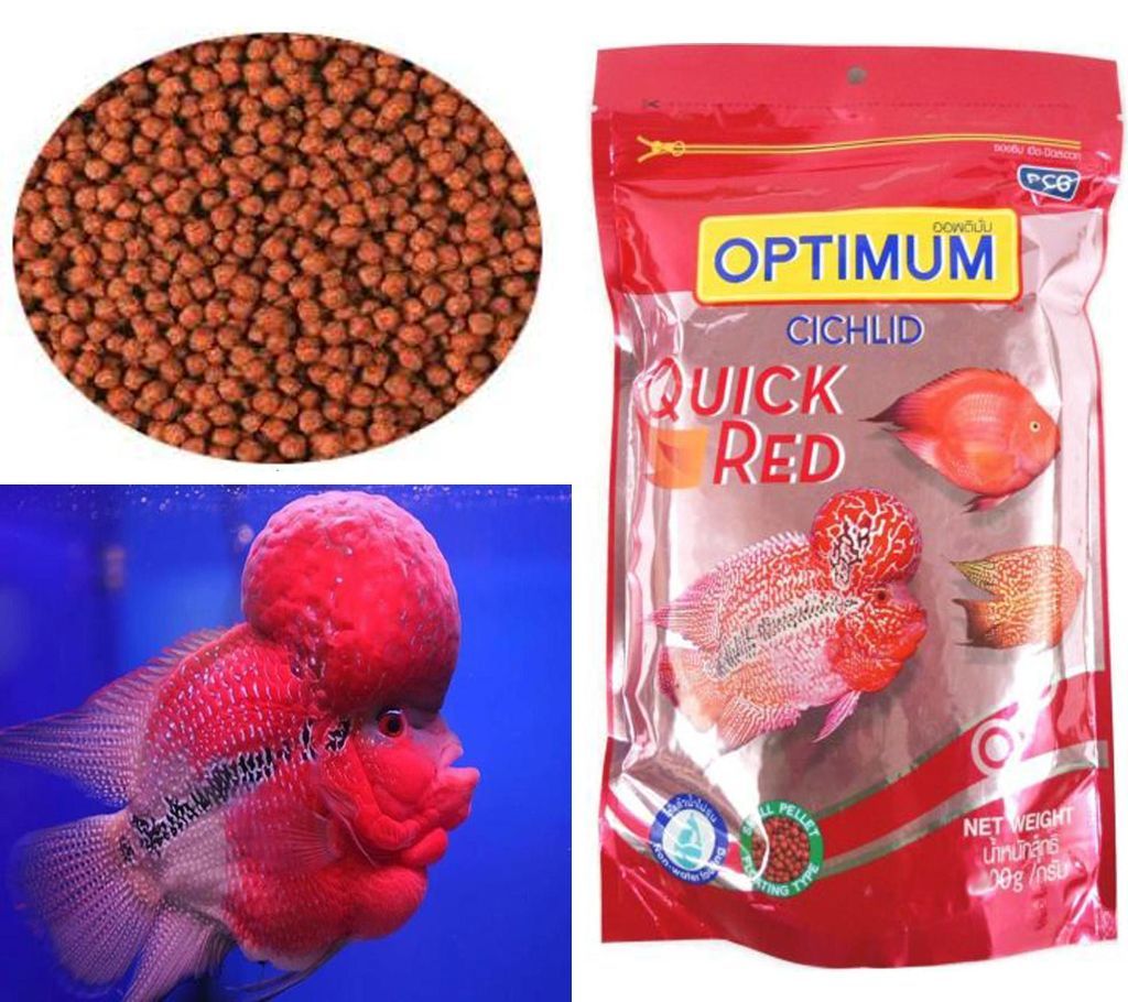 Optimum- Cichlid(Quick Red-100g)-Thailand 