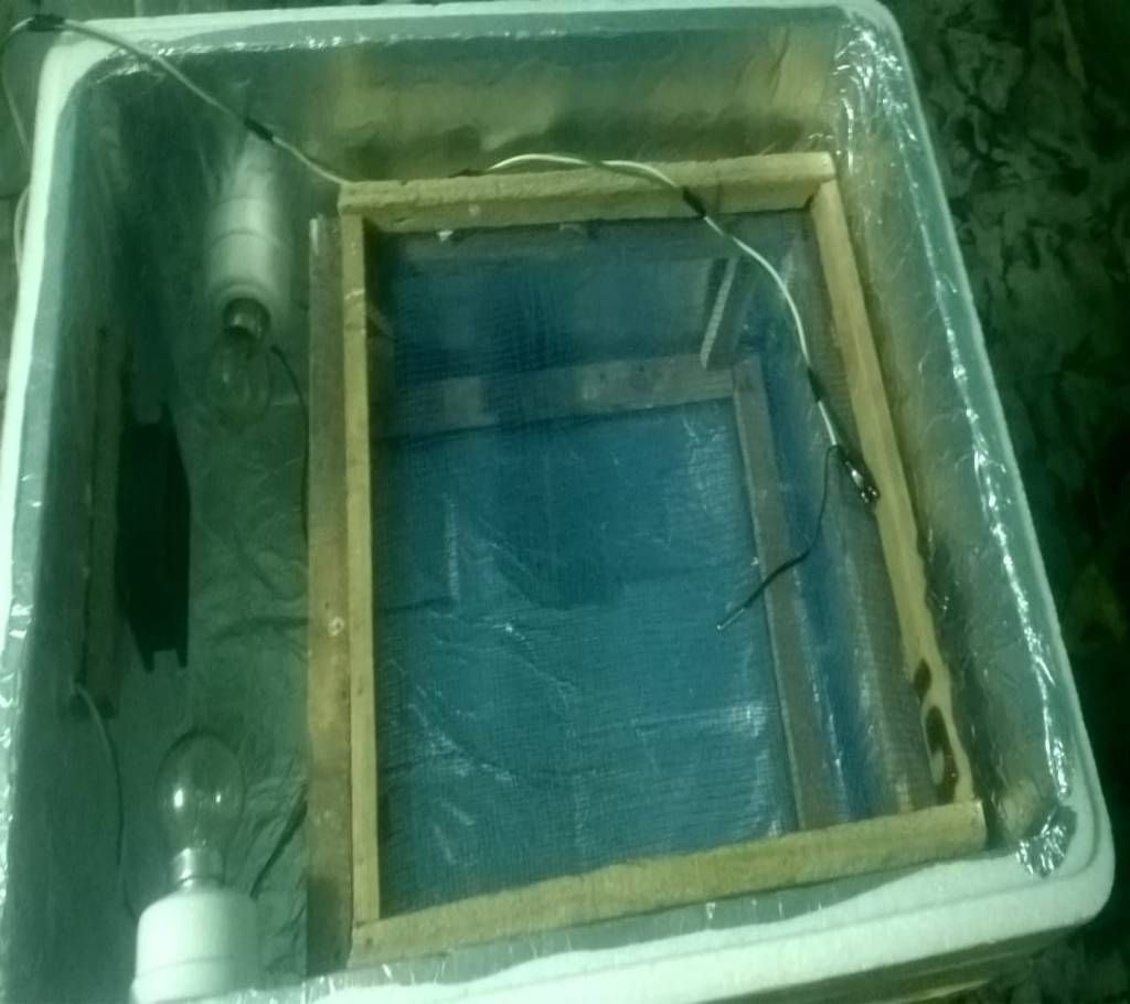 Mini  incubator Capacity 80 to 100 Egg