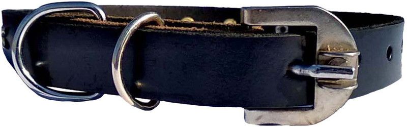 Petox Zone Medium-2 Dog Bark Contro Collar  (Medium, Black)