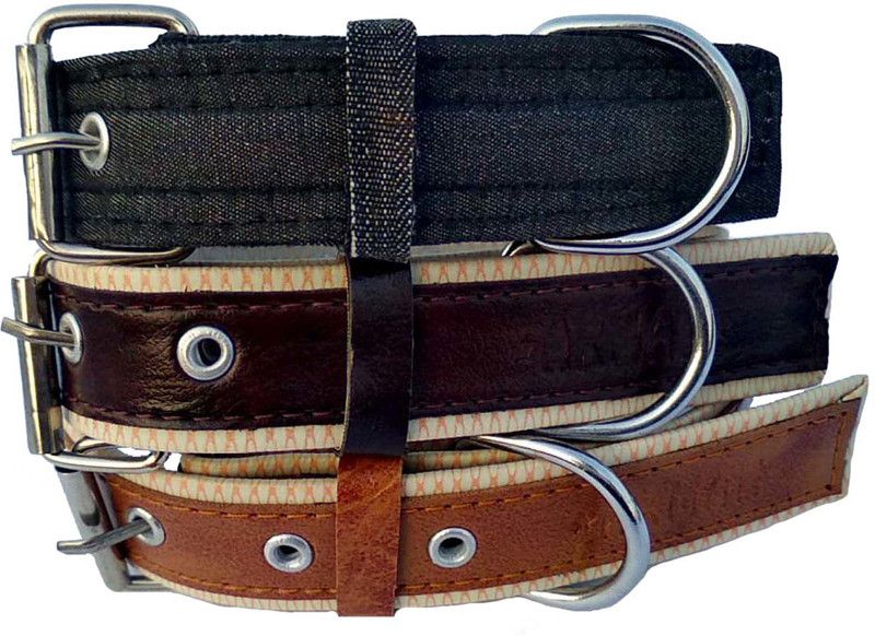Peto lovers Extra Small-136 Dog & Cat Everyday Collar  (Extra Small, Black, Tan:Brown)