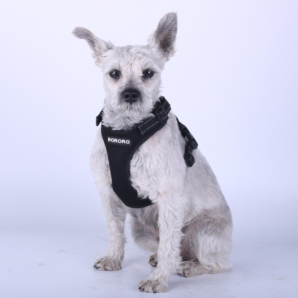 Pet  Harness Summer Mesh Nylon Breathable  Vest Soft Adjustable Harness for s Puppy Collar  Pet  Chest S