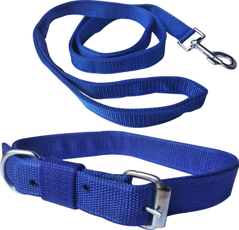 BODY BUILDING Blue Color Good Quality 1 inch Dog Collar Belt, 1.5m-2m lengthy Dog Collar & Leash  (Medium, Multicolor)