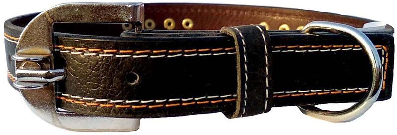 Petox Zone Large-231 Dog Bark Contro Collar  (Large, Black)