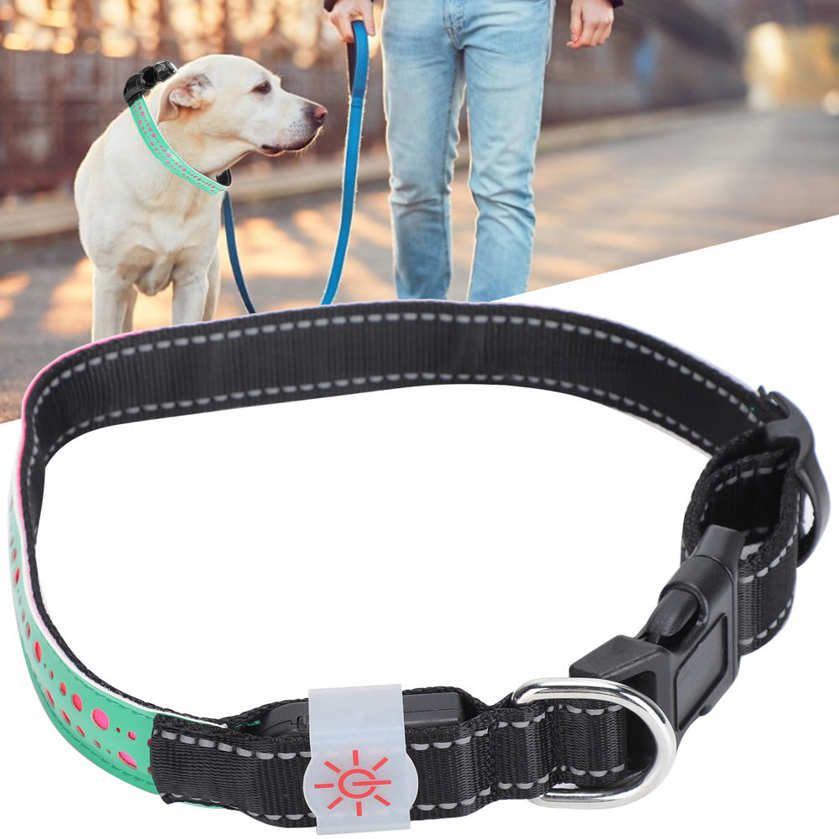 USB Rechargeable LED Pet Adjustable Carved Collar Dog Lighting Night Safety