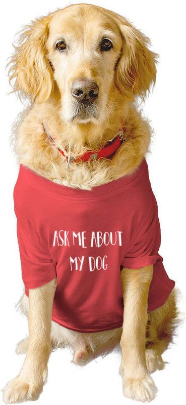 RUSE T-shirt for Dog  ("ASK ME ABOUT MY HUMAN" Printed Tee Gift for Dogs(Poppy Red)L)