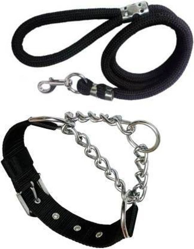 DogTrust Dog Collar & Leash  (Medium, Black)