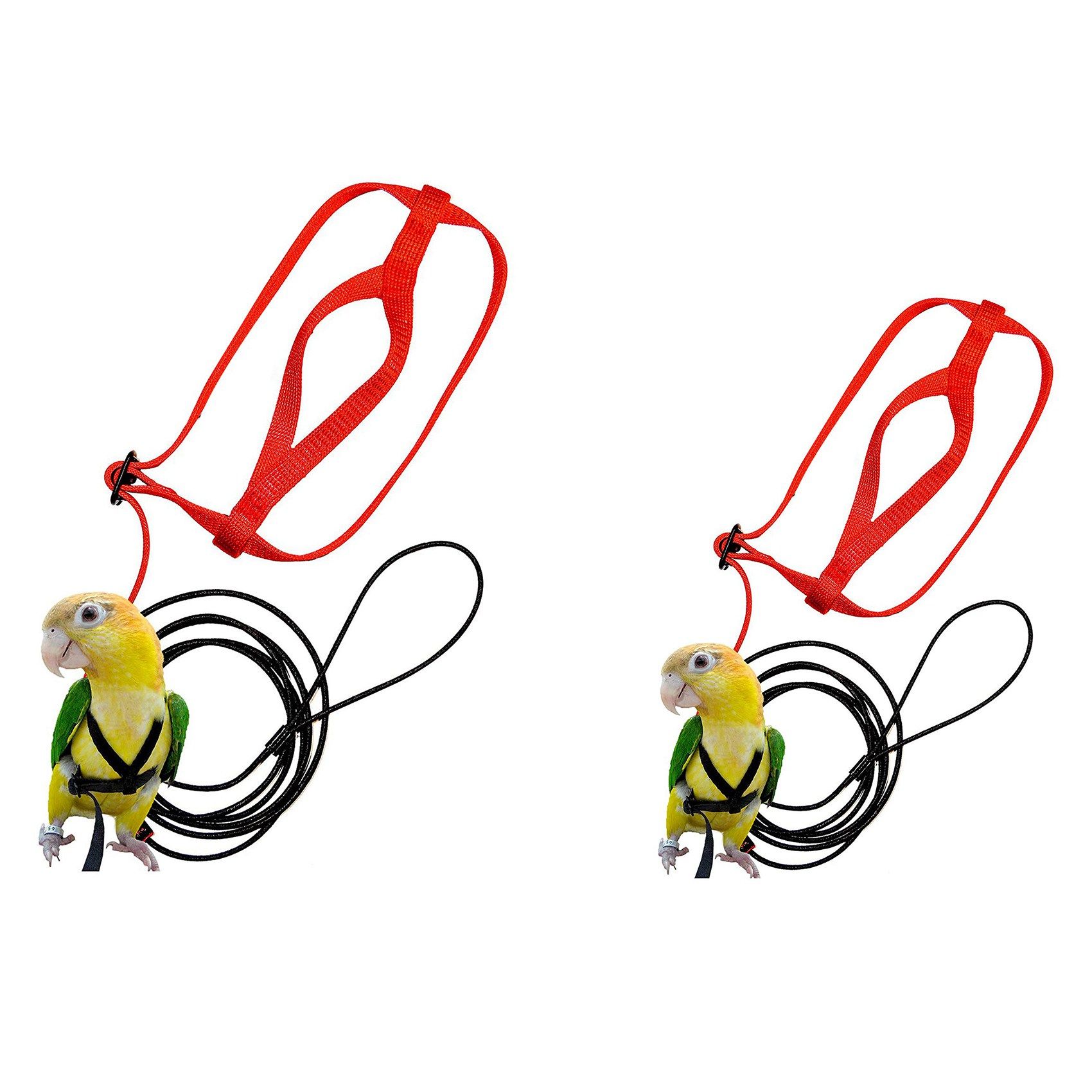 2x Pet Bird Harness and Leash,Adjustable Parrot Bird Harness Leash (XS&S)