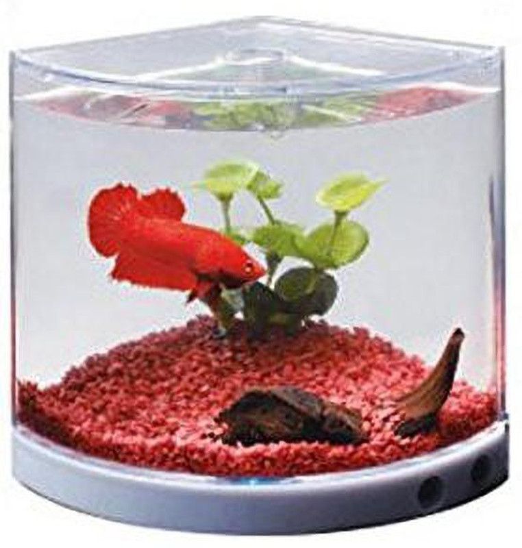 Dophin 101 Corner Pentagon Aquarium Tank  (1 L)