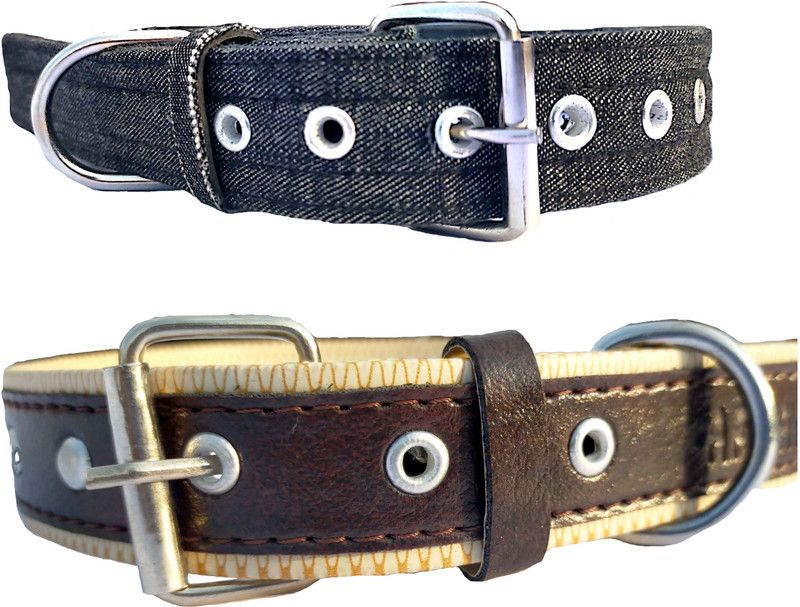 Peto lovers Dog Everyday Collar  (Extra Small, Blue, Brown)