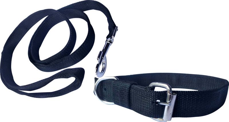 PEDIGONE 1 inch Good Quality Nylon Black Dog Collar Belt, 1.5m-2m Lengthy Dog Collar & Leash  (Medium, Multicolor)